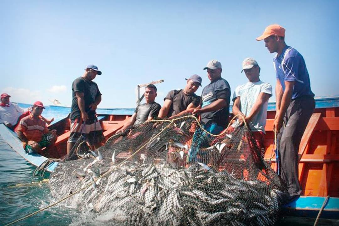 Pescadores ribereños izando una red con captura desde una panga en el litoral mexicano.