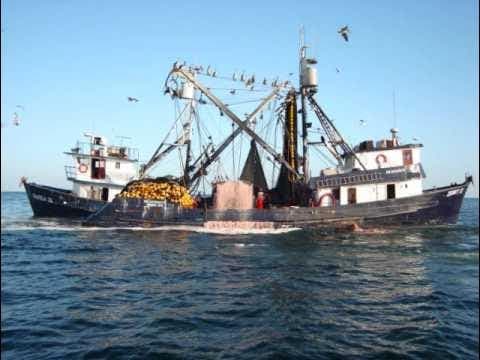 Barco sardinero con aves marinas descansando en sus jarcias, característico del Pacífico mexicano.